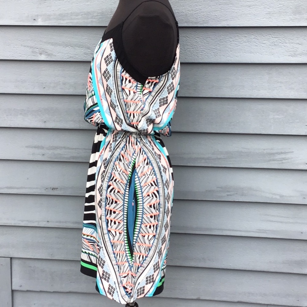 Express Multi Color Zebra Print Dress - image 4